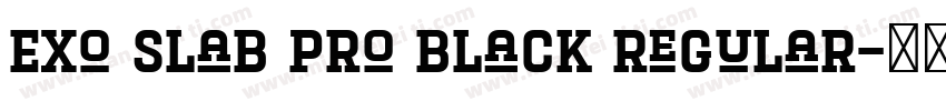 Exo Slab Pro Black Regular字体转换